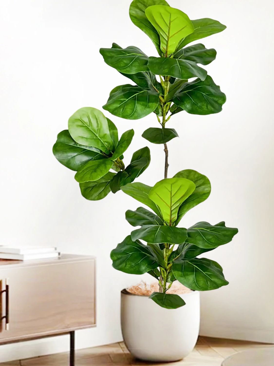 45-135cm  Artificial Fiddle Le - Ficus Lyrata Tree 评论和价格