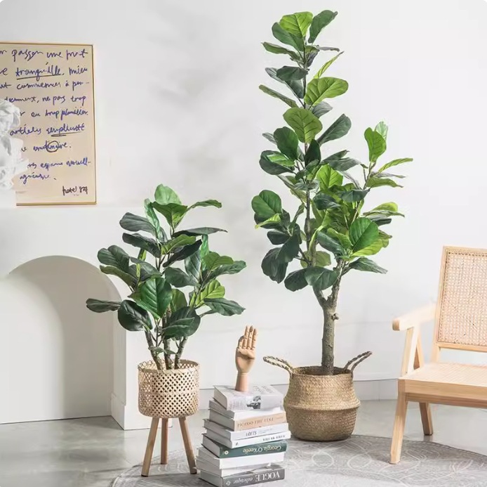 Artificial Plastic Potted Plan - Ficus Lyrata Tree 评论和价格
