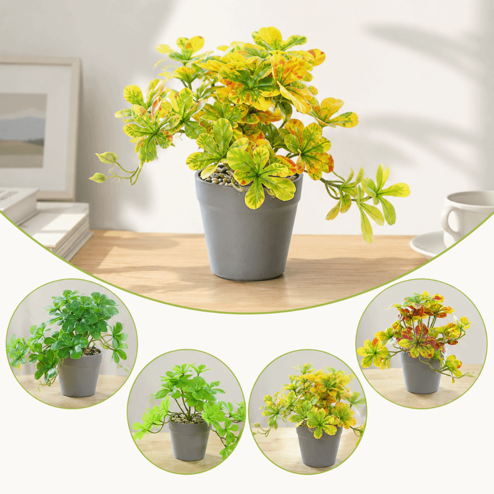 Bonsai Artificial Bonsai Plant - Spider Plant Hanging 评论和价格
